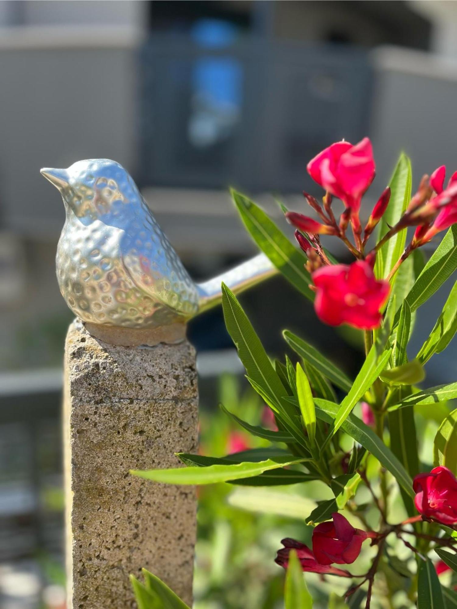 Neu Colibri-design-appartment Mit Großer Terrasse, Zugang Zur Bucht Apartment Pjescana Uvala