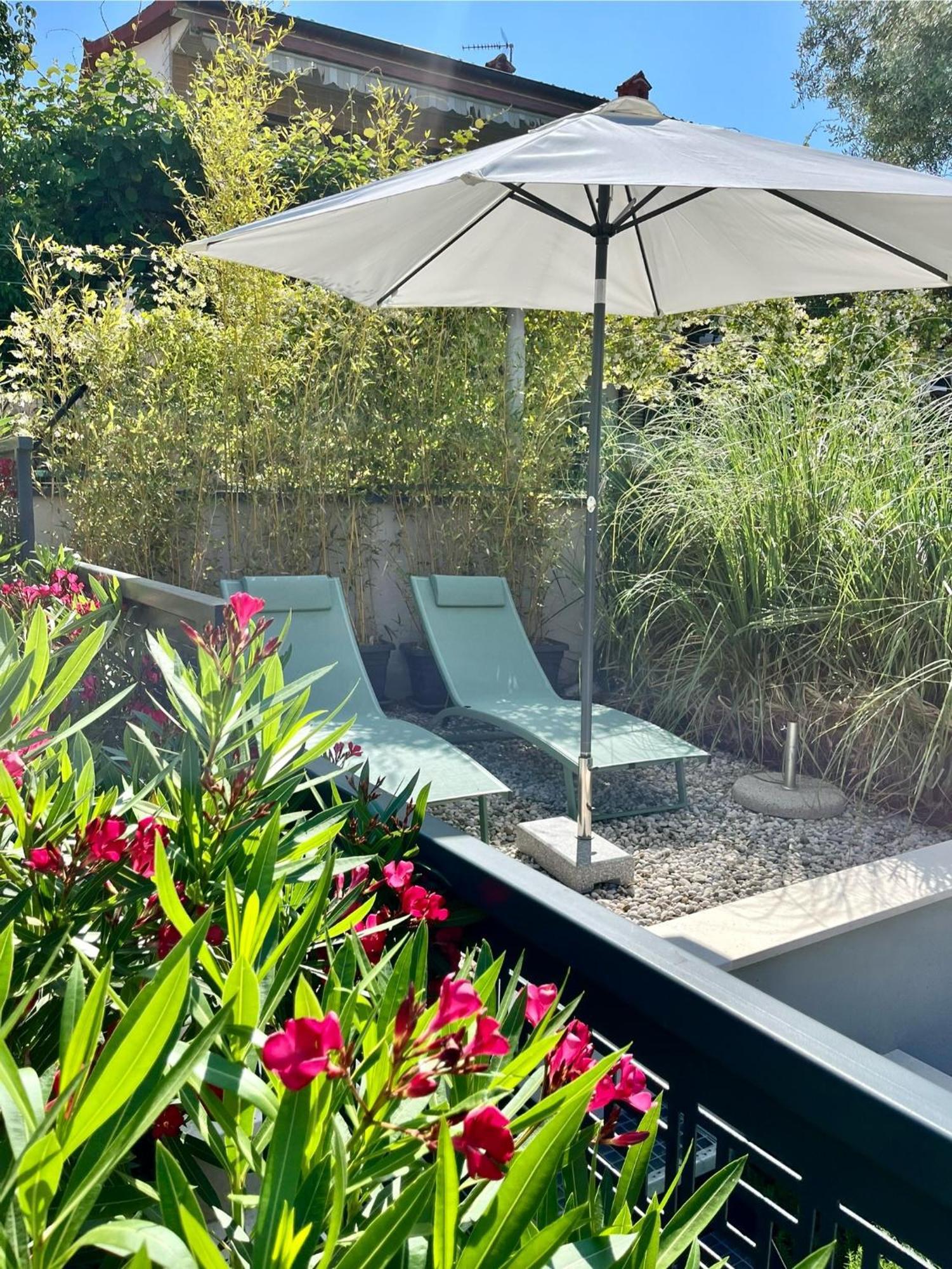 Apartment Neu Colibri-design-appartment Mit Großer Terrasse, Zugang Zur Bucht Pjescana Uvala