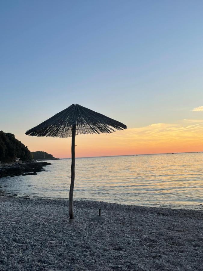 Apartment Colibri-design&beach Mit 40m2 Terrasse Und 2 Sups *